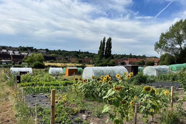 New allotments at Sandy Lane in Mansfield