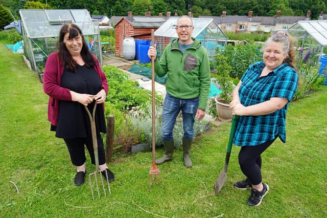 Meden Vale allotments. Jill Handrahan-Cook, Adrian Partridge and Meinir Jenkins.