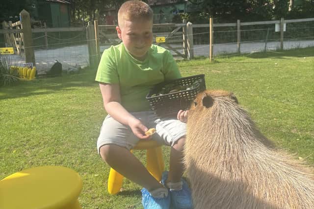 Capybaras are calm and happy to sit with you while they eat.