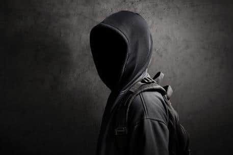 Police officers in Ashfield have received several reports of unknown people acting suspiciously and looking into people gardens.