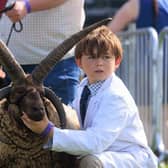 A young competitor and his ram taking part in this year's Nottinghamshire County Show a success.