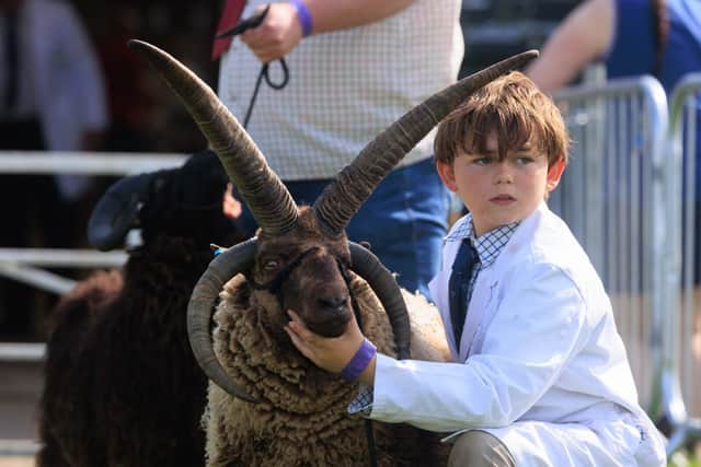 A young competitor and his ram taking part in this year's Nottinghamshire County Show a success.