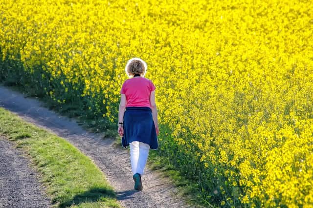 There are plenty of places to enjoy a walk in nature this spring.
