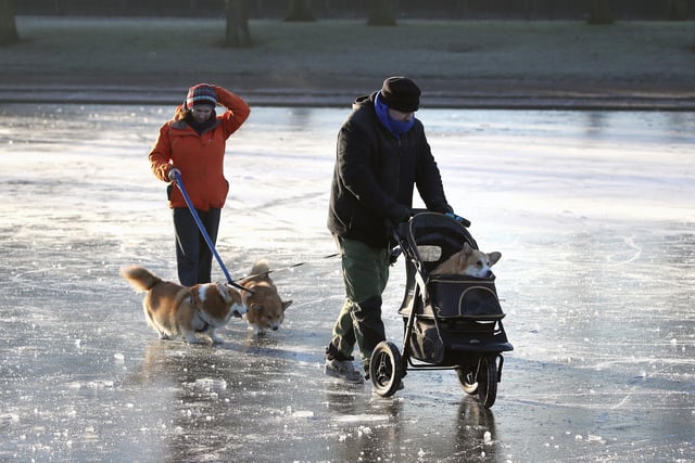 A couple walk their dogs on a frozen pond at Victoria Park