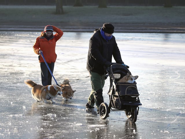 A couple walk their dogs on a frozen pond at Victoria Park