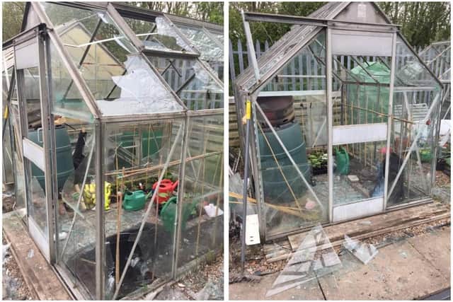 Damaged greenhouses at Lane End Allotments in Sutton. Photo: Gill Brunt.