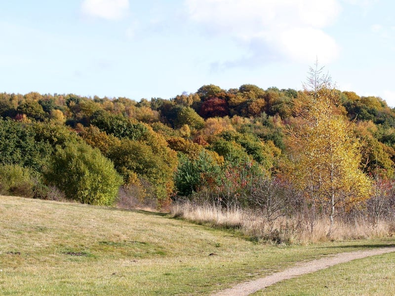 Bestwood Country Park featured in BBC's Sherwood, written by Ashfield-born James Graham.