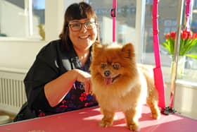 Mansfield new dog grooming business on Newgate Lane. Business owner - Lisa Reavill.