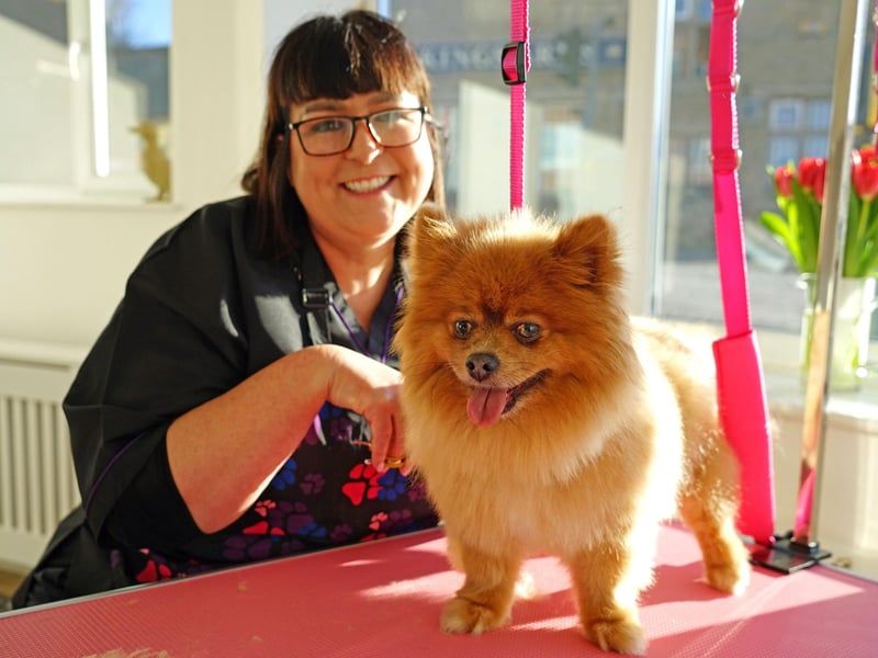 Mansfield new dog grooming business on Newgate Lane. Business owner - Lisa Reavill.