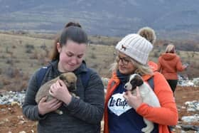 Founder Denise Hardwick, pictured with kennel manager Jade Sheldon, on a rescue mission with newborn strays.