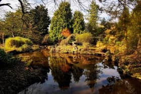 Talk on Ethel Webb’s Japanese Garden is taking place at Newstead Abbey