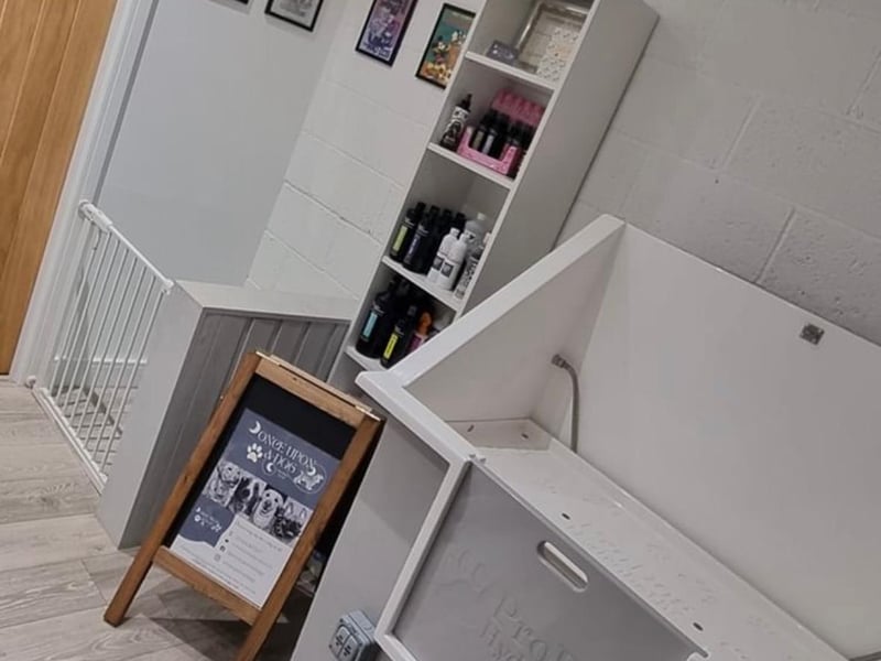 This Pleasley-based grooming service was a popular choice for readers. Here is where the magic happens. To get in touch, you can call 07454 367347 or email onceuponadog@outlook.com