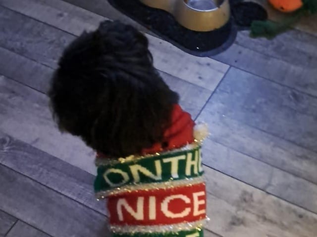 On the nice list. That looks cosy. Thanks for sharing, Denise.