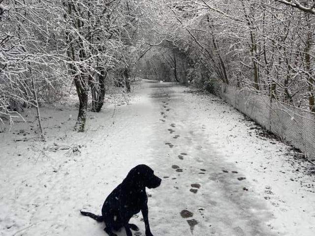Nick shared this photo from Pleasley Pit Country Park.