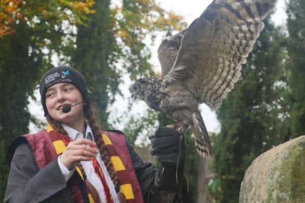 School of Curious Creatures Animal Antics Show at Tropical Butterfly House