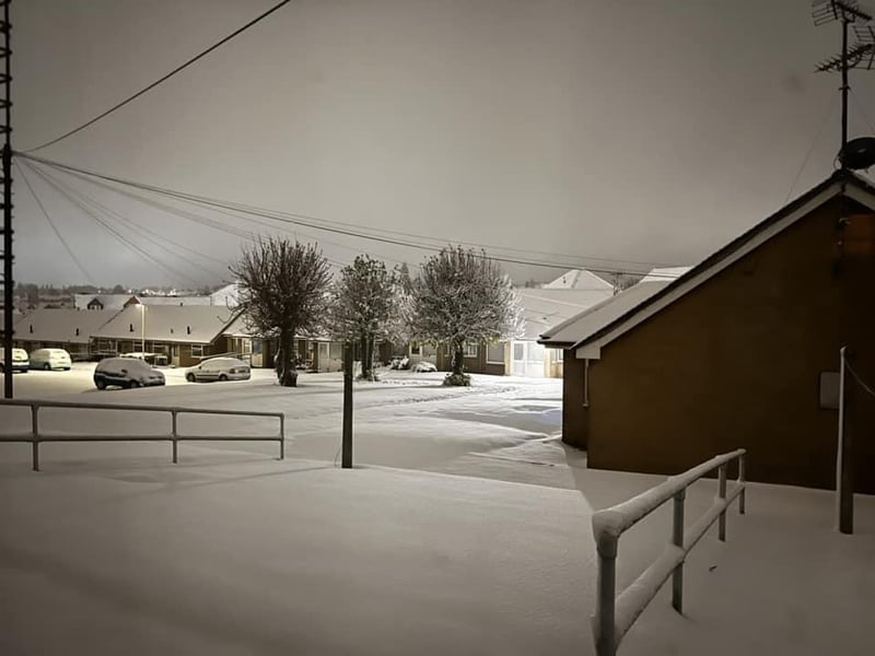 Trudy Brimble sent us this snowy scene