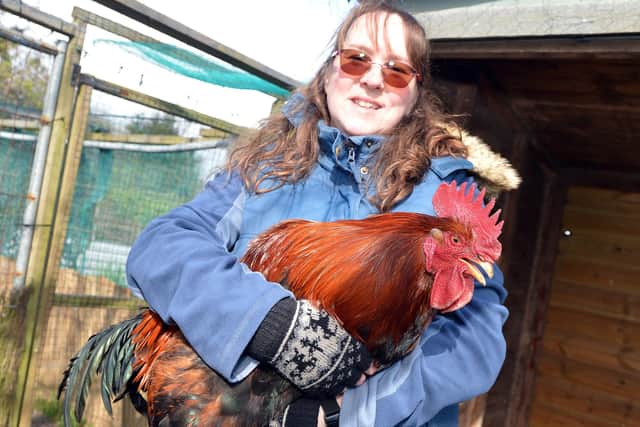 Ceri Collen-Boot treats her cockerel, Pecky, like a pet.