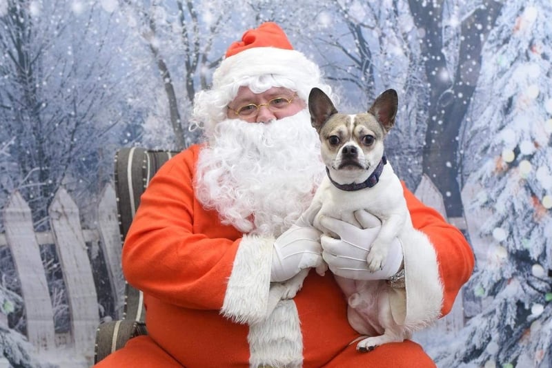 This is Pablo with Santa Paws at On All Pawz pet service.