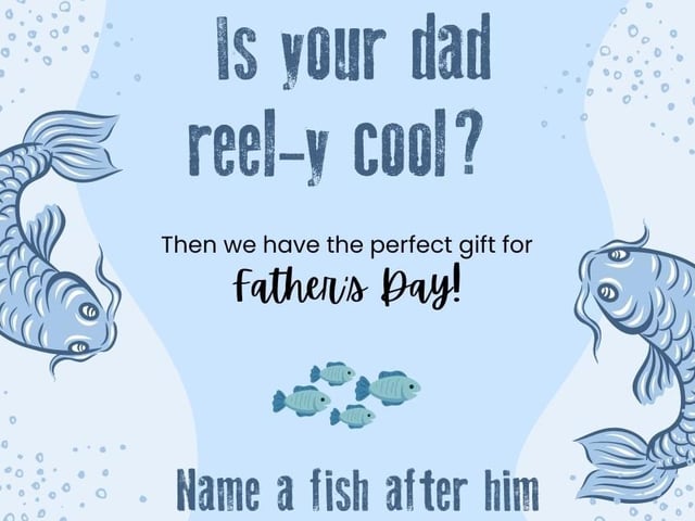Is your dad fin-tastic? Then the Tropical Butterfly House have the perfect gift for Father’s Day – name a fish after him. Following the huge success of their Mother’s Day promotion “Name a butterfly after your mum”, the Tropical Butterfly House launched this initiative for Father’s Day 2023. Tropical Butterfly House| £2.
