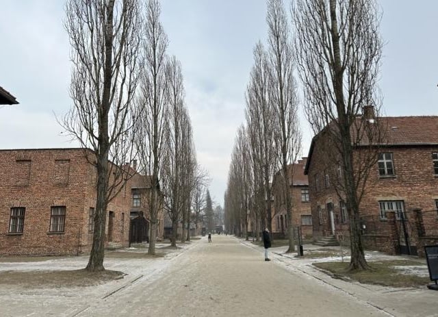 Central street in Auschwitz, lined with poplar trees