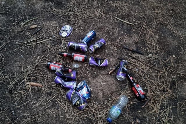 Empty beer cans and bottles found in Sookholme Woods.