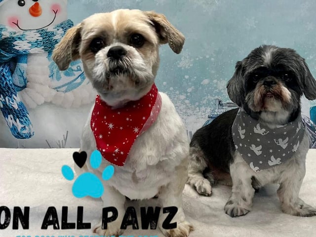 The business offers superfoods, natural treats, dog grooming, dog walking, and personalised gifts.
