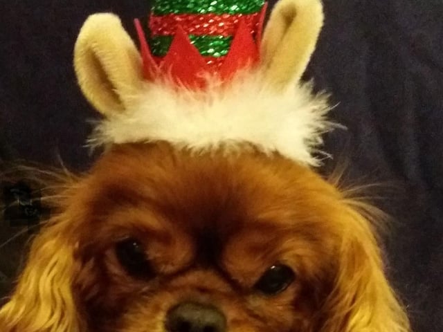 Thank you, Yvette, for sharing this adorable s(elf)ie with us. Here is Ruby, aged 13.