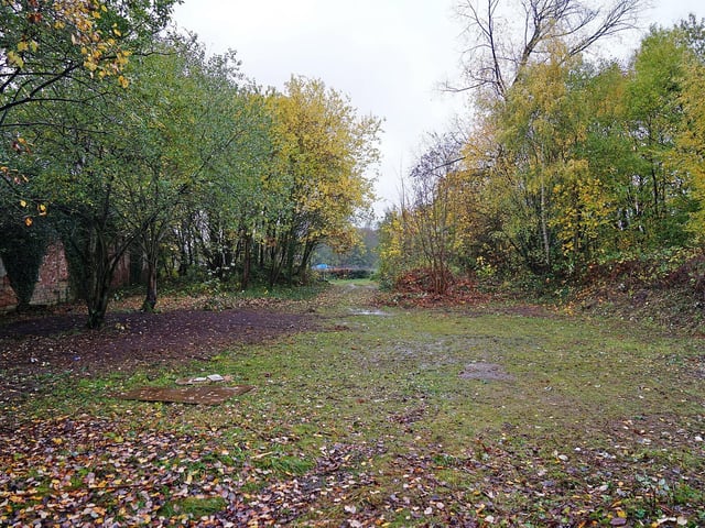 The site has acres of woodland outside the building, with plans for a car park and outdoor area.