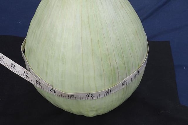 The largest dressed onion from Tony Cuthbert.