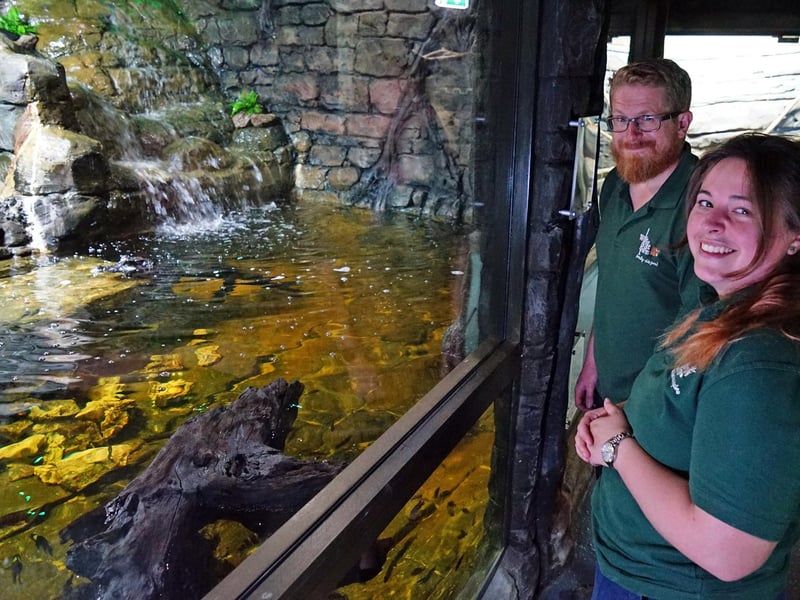 White Post farm opened a new 'Reptiles of the World' attraction. Martin Vernon and Elle Knight are pictured.