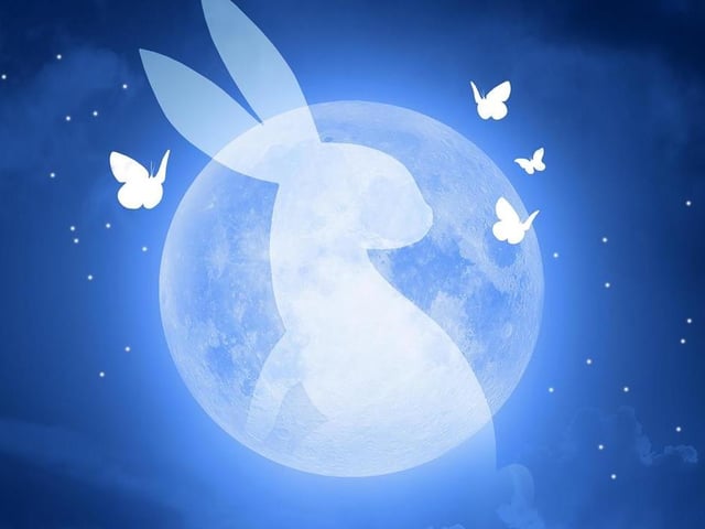 Have you ever looked up at the evening sky and seen the rabbit that lives on the moon? Have you ever wondered how she got there, and what she does? Well, maybe your kids have, so they will love 'Moon Rabbit And Other Stories', a magical piece of story-telling theatre taking place at Mansfield Library on Monday (11 am and 2 pm). It recounts some of the amazing folk tales of China and east Asia.