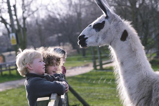 One of the East Midlands' most popular visitor-attractions, the White Post Farm Centre at Farnsfield covers about 25 acres of land and cares for more than 3,000 animals. Which adventure will you choose? Will it be with Eddie the eagle, Alfie the alpaca, Merv the meerkat, Hulk the giant tortoise, Freddie the frog or Sydney the snake?