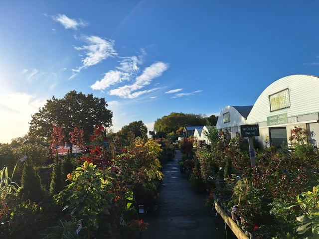 Hollybeck Garden Centre, located on Oxton Road in Southwell, is another recommended garden centre nearby. Find out more at: www.facebook.com/hollybecknurseries