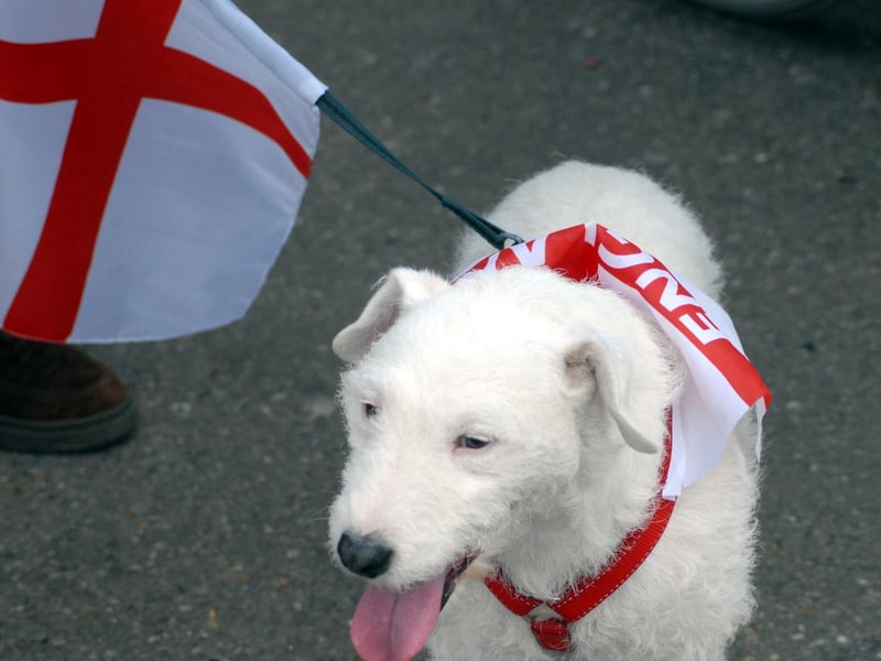 St. George's Day Celebrations in Ollerton. Noddy the dog joined in the festivities.