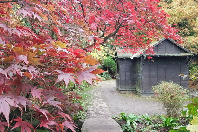 A walk round the beautiful Japanese Garden is one of the highlights of any visit to Newstead Abbey, ancestral home of Lord Byron. So why not find out more about it via a talk that is being given by local historian Philip Jones at The Orangery at the abbey on Saturday (2 pm)? It is free with paid admission to the historic house.