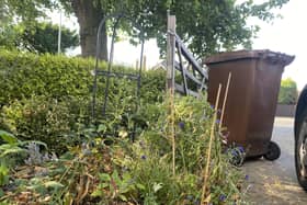 Mansfield Council runs a brown bin garden waste service.