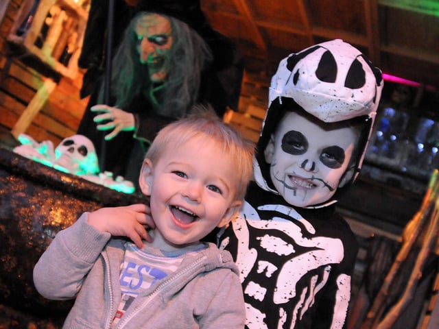 Riley, 4,  and his 18 month old brother, Cody show no fear at their  Halloween spectacular, created by their dad Lee and sister Jaidie-Leigh, 11.