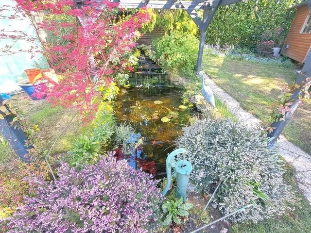 The garden boasts a well established pond