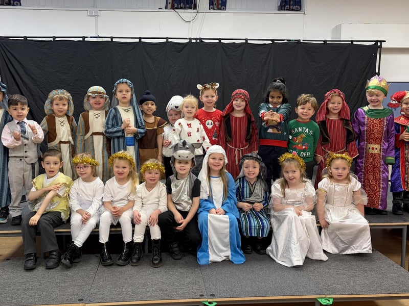 A shiny and sparkling show from pupils at Dalestorth Primary and Nursery School