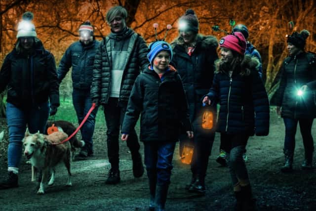 Book your tickets now for Bark in the Dark at Sherwood Pines