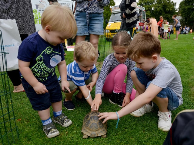 Children meeting a tortoise at Mansfield Summer Festival at Titchfield Park