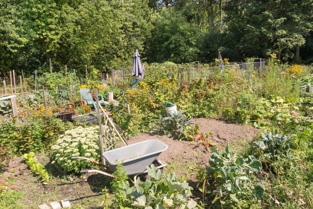 Nottinghamshire Police has unveiled guidance for allotments this summer.