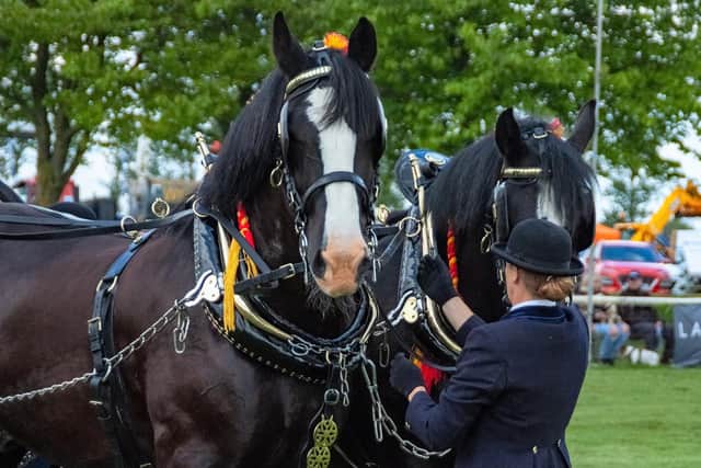 Many of the traditional features of the show will be back this year
