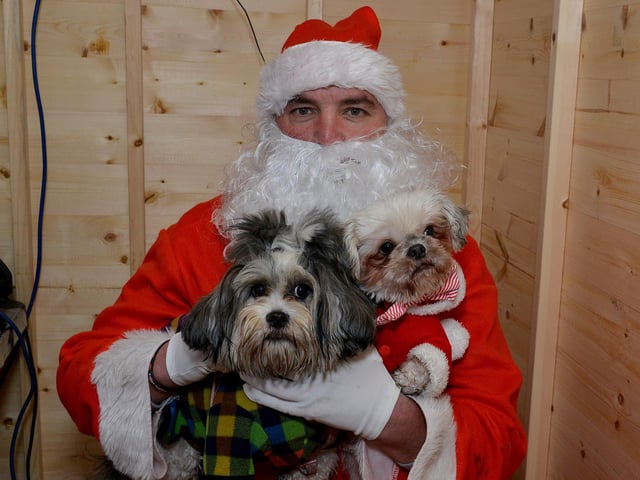 Santa Paws Dog Grotto at Mansfield Market in aid of Guide Dogs for the Blind Association, Gizmo and Lulu meet Santa