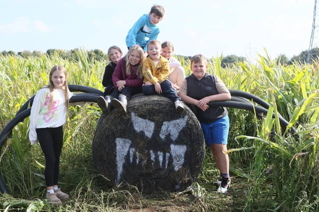 Children posed with a spooky spider at the pumpkin patch.