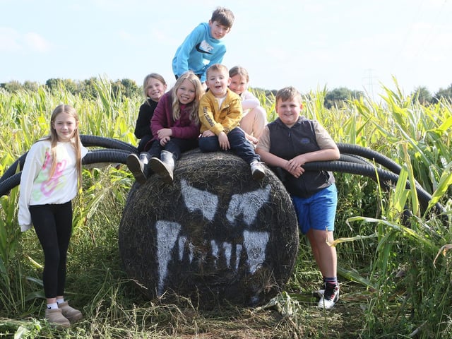 Children posed with a spooky spider at the pumpkin patch.