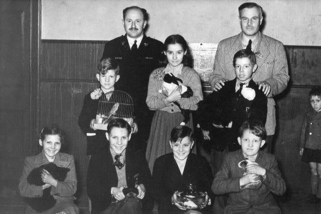 Who remembers the pet shows?  Did you ever win?