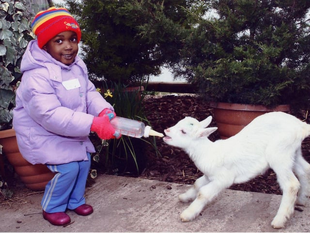 Shakira Wright enjoying a day out at White Post Farm