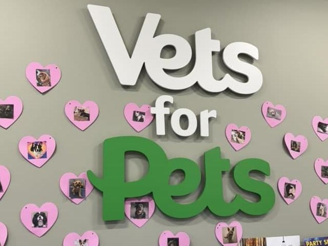 Vets for Pets Hucknall, located at 4 Emperors Way, Hucknall, has a rating of 4.6 based on over 200 reviews. One reviewer stated, "Excellent service; the staff are amazing and very experienced." See more at www.vets4pets.com/practices/vets4pets-hucknall