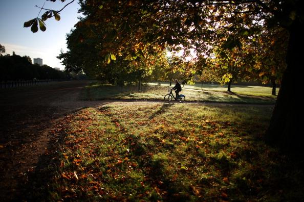 There are many walking routes you and family could enjoy while exploring the grounds at Westwood this Autumn.